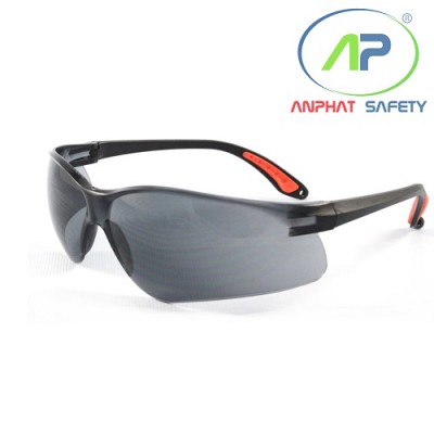 TW - Kính BHLĐ EV202